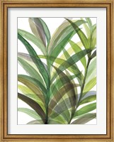 Framed Tropical Greens II