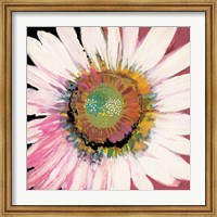 Framed Sunshine Flower I