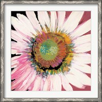 Framed Sunshine Flower I