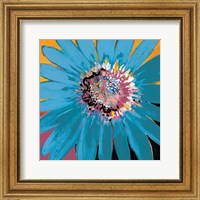 Framed Sunshine Flower II