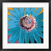 Sunshine Flower II Framed Print