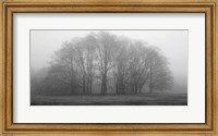 Framed Gathering Trees