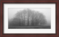 Framed Gathering Trees