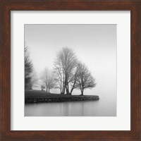 Framed Fog and Trees at Dusk
