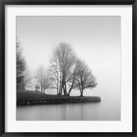 Framed Fog and Trees at Dusk