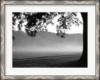 Framed Fog in the Park I
