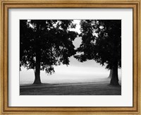 Framed Fog in the Park II