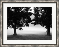 Framed Fog in the Park II