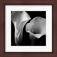 Framed Softness II