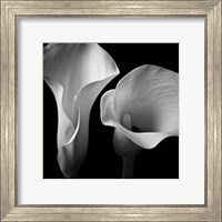 Framed Softness II