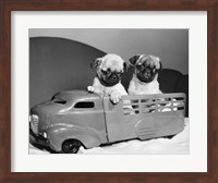 Framed Pug Puppies Sitting In Back Of Toy Truck