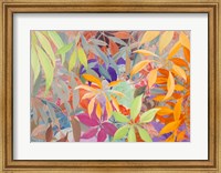 Framed Giungla colorata