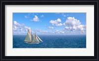 Framed Ocean Sailing