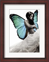 Framed Winged Beauty #1 (detail)