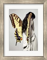 Framed Winged Beauty #3