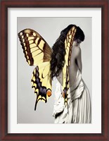 Framed Winged Beauty #3
