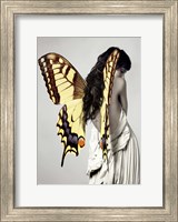 Framed Winged Beauty #3