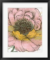 Framed Blossom Sketches III Pink Crop