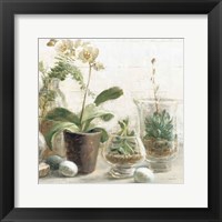 Framed Greenhouse Orchids on Shiplap III