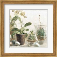 Framed Greenhouse Orchids on Shiplap III