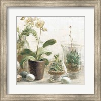 Framed Greenhouse Orchids on Shiplap III