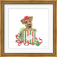 Framed Holiday Paws II on White No Words