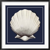 Framed Coastal Shell II with Border Navy