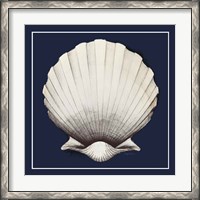 Framed Coastal Shell II with Border Navy