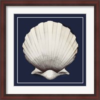 Framed Coastal Shell II with Border Navy