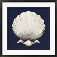 Coastal Shell II with Border Navy Framed Print