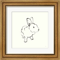Framed Line Bunny II