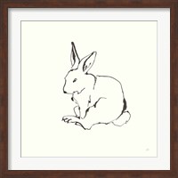 Framed Line Bunny I