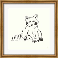 Framed Line Raccoon