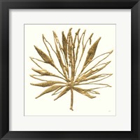 Framed Gilded Palm VII