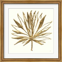 Framed Gilded Palm VII