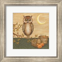 Framed 'Halloween Owl' border=