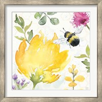 Framed Bee Harmony II
