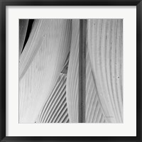 Framed Leaf Abstract IV