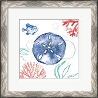 Framed 'Coastal Jewels IV Coral Cove' border=