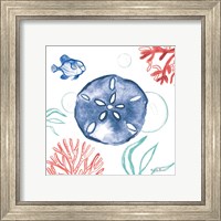 Framed 'Coastal Jewels IV Coral Cove' border=