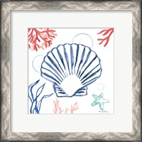 Framed 'Coastal Jewels III Coral Cove' border=