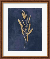 Framed Botanical Study I Gold Navy