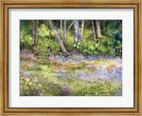 Framed Springtime Woods