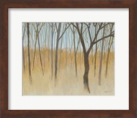 Framed Misty Woods
