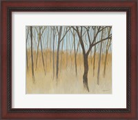 Framed Misty Woods