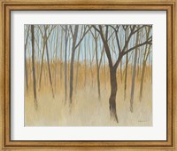 Framed Misty Woods