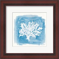 Framed 'Water Coral Cove VI' border=