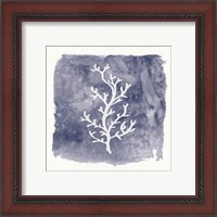 Framed 'Water Coral Cove IV' border=