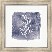 Framed 'Water Coral Cove IV' border=