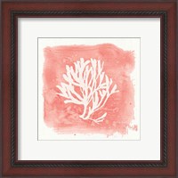 Framed 'Water Coral Cove III' border=